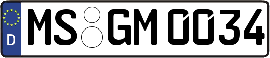 MS-GM0034