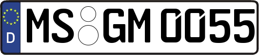 MS-GM0055