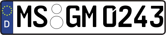 MS-GM0243