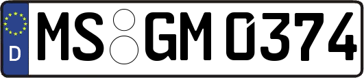 MS-GM0374