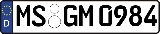 MS-GM0984
