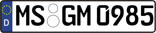 MS-GM0985
