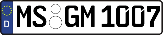 MS-GM1007
