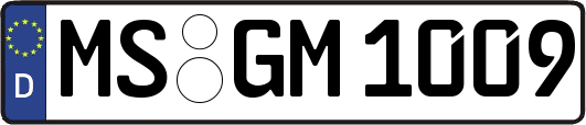 MS-GM1009