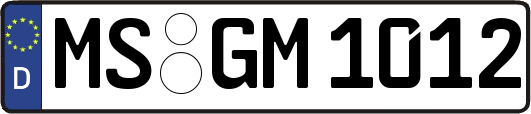 MS-GM1012