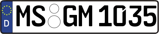 MS-GM1035