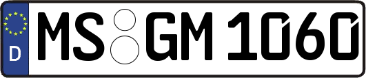 MS-GM1060