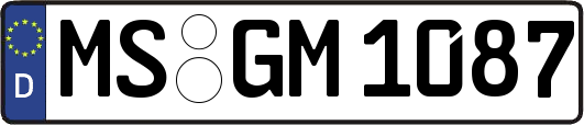 MS-GM1087