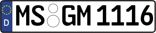 MS-GM1116