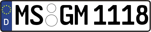 MS-GM1118