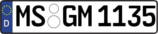 MS-GM1135