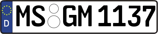 MS-GM1137
