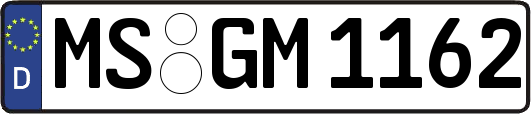 MS-GM1162