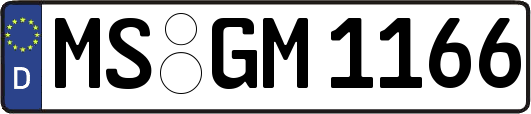 MS-GM1166
