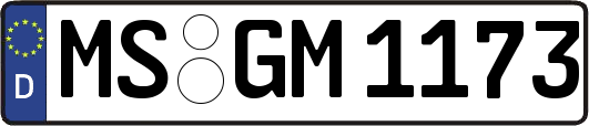 MS-GM1173