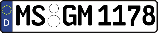 MS-GM1178