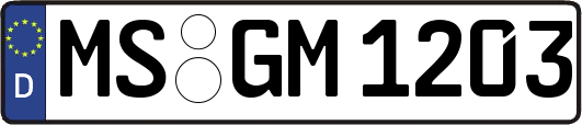 MS-GM1203