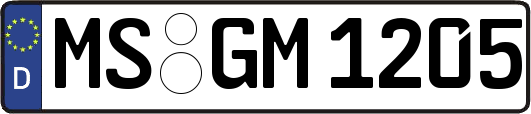 MS-GM1205