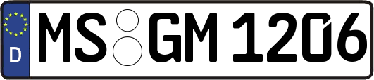 MS-GM1206