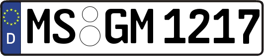 MS-GM1217