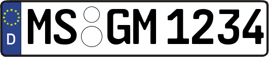 MS-GM1234