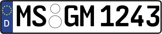 MS-GM1243