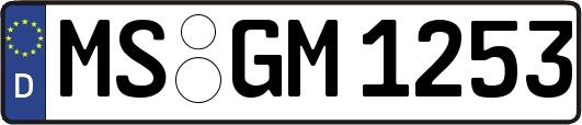MS-GM1253