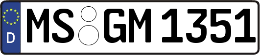 MS-GM1351