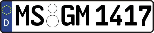 MS-GM1417