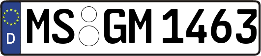 MS-GM1463