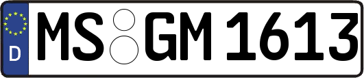 MS-GM1613