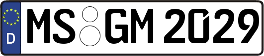 MS-GM2029