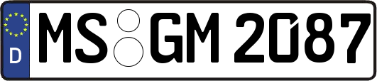MS-GM2087