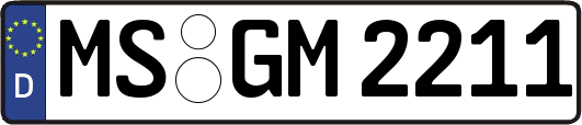 MS-GM2211