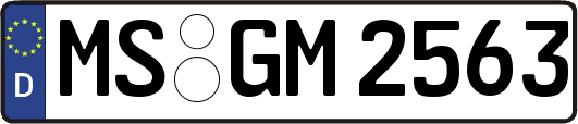 MS-GM2563