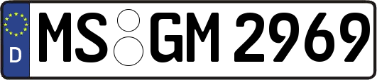 MS-GM2969