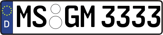 MS-GM3333