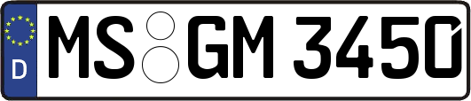 MS-GM3450
