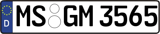 MS-GM3565