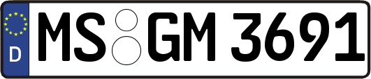 MS-GM3691