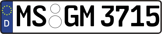 MS-GM3715