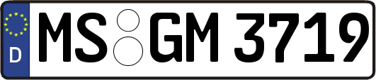 MS-GM3719