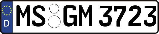 MS-GM3723