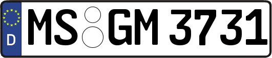 MS-GM3731