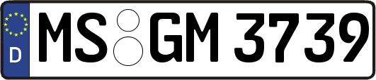 MS-GM3739