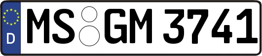 MS-GM3741