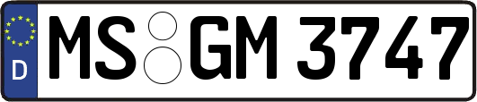MS-GM3747