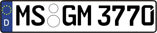MS-GM3770