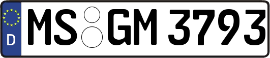 MS-GM3793