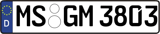 MS-GM3803
